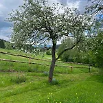 Energieautark In *