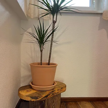 Energieautark In Mariahof