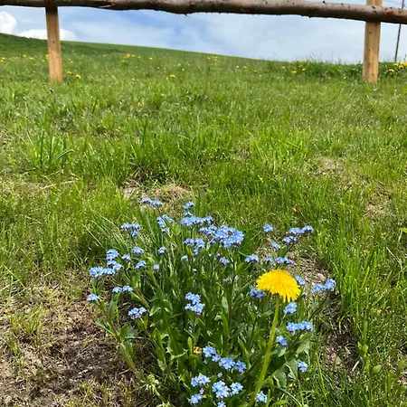 Energieautark In Apartamento *