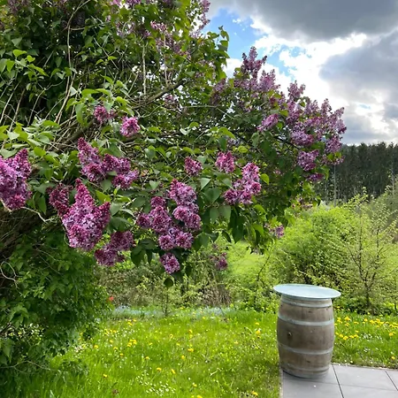 Energieautark In Mariahof