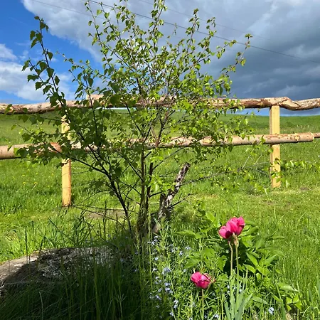 Energieautark In Apartamento *