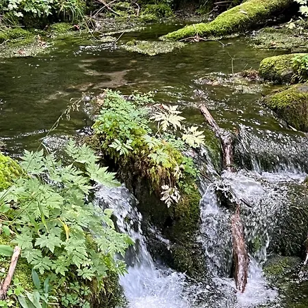 Energieautark In Mariahof