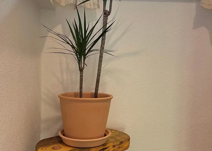 Energieautark In 马里亚霍夫