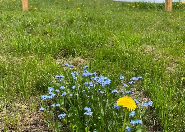 Energieautark In Lägenhet *