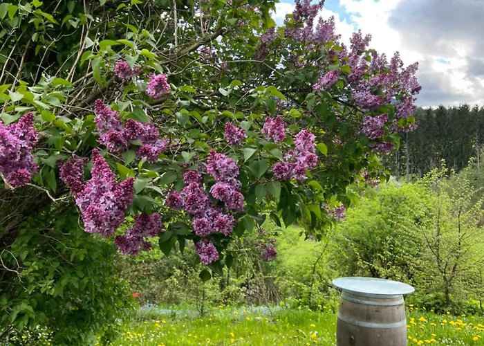 Energieautark In Mariahof