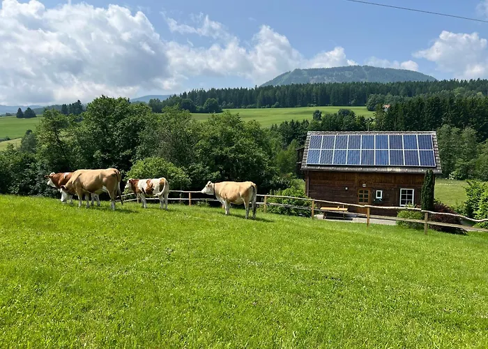 Energieautark In Apartment Mariahof