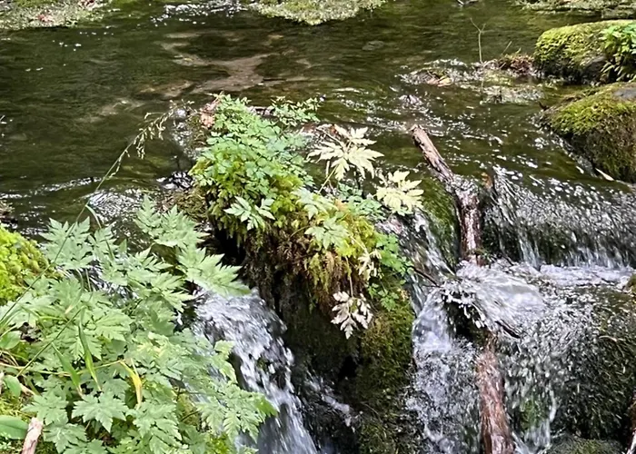 Energieautark In 马里亚霍夫